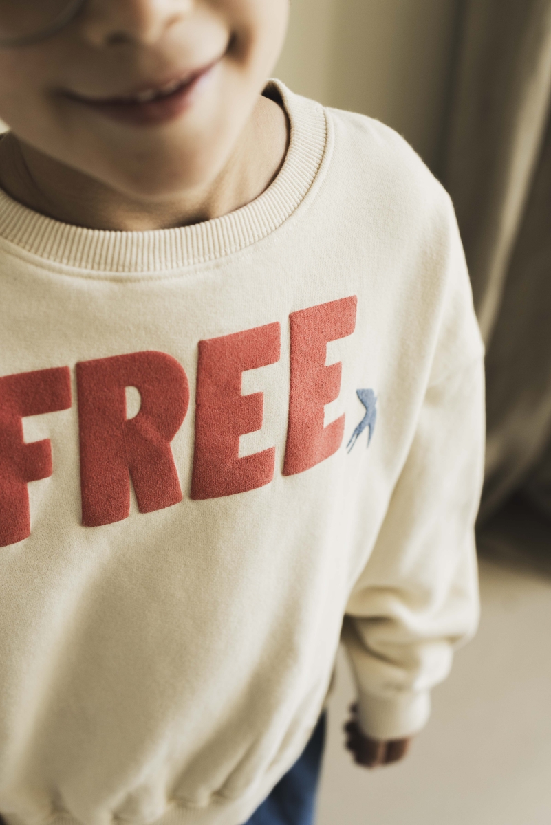 Free Bird Sweater - Jenest